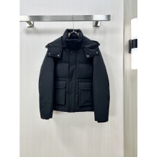 Louis Vuitton Down Jackets